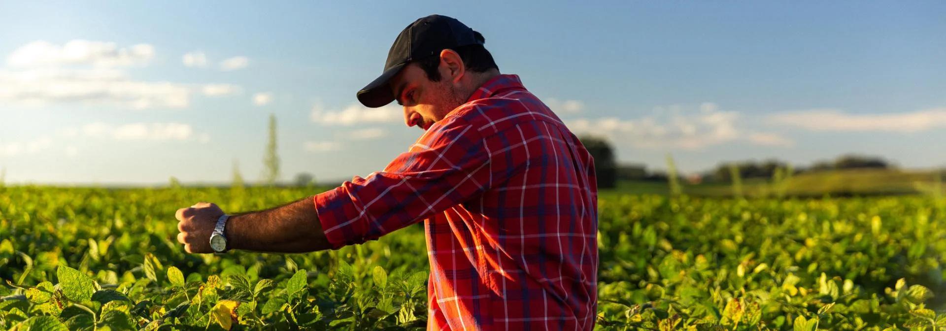 Αλλάζουμε τις καλλιέργειες γαι ένα καλύτερο αύριο